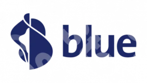 Blue Sports