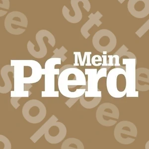 Mein Pferd