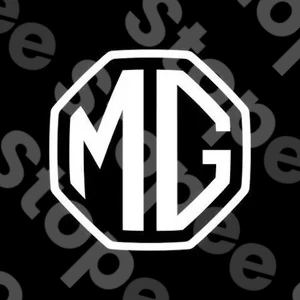 Mg Video Zone