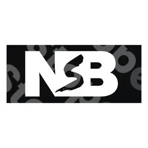 Nsb Schweiz