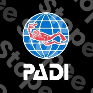 Padi