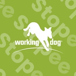 Working Dog