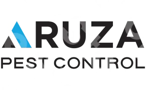 Aruza